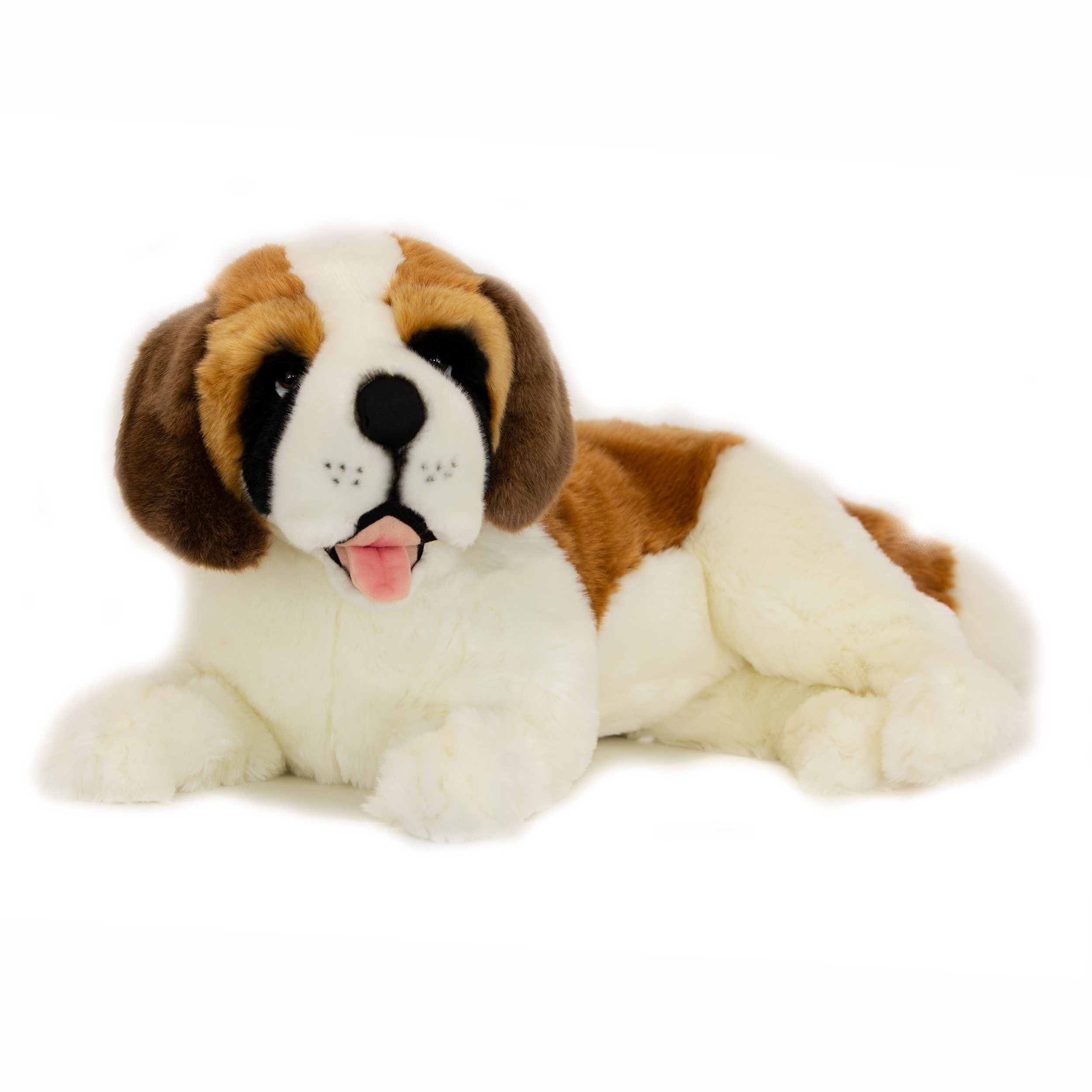 Weighted St Bernard from Technical Solutions Australia