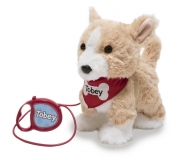 aTobey Switch Adapted Dog on a Lead
